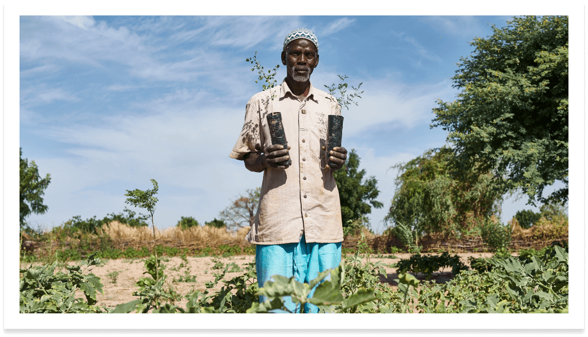 man in senegal planting trees